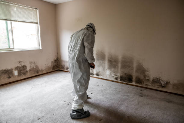 Best Industrial Mold Remediation in Silver Springs, FL